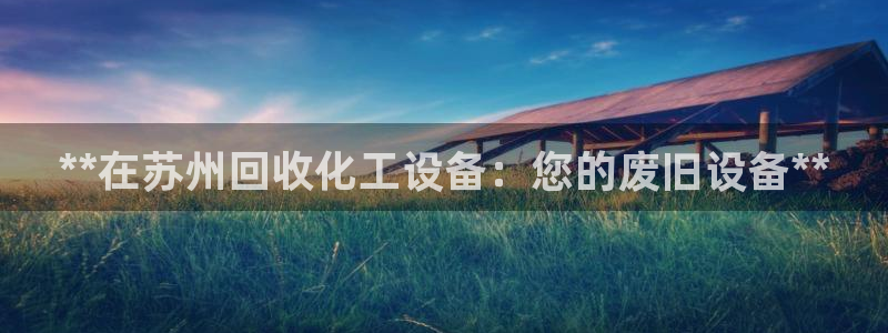 新城平台总代