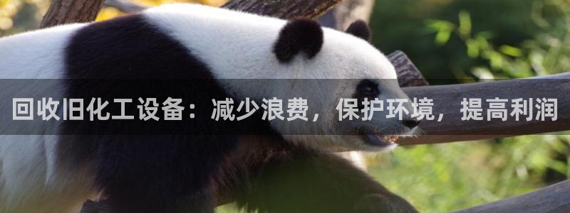 新城平台线路登录不上去怎么回事