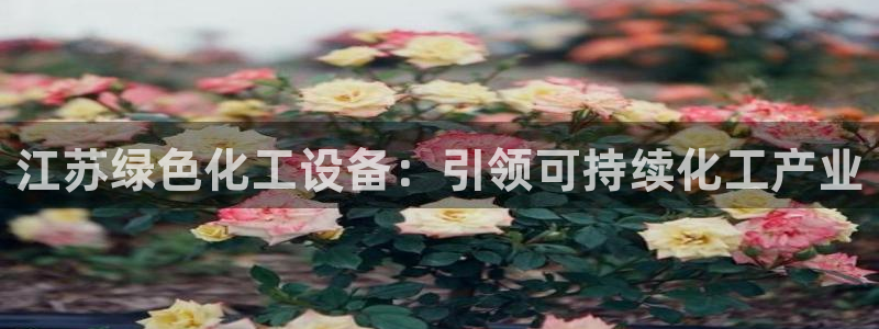 新城平台官网注册入口