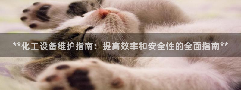 新城平台登录入口官网网址是什么