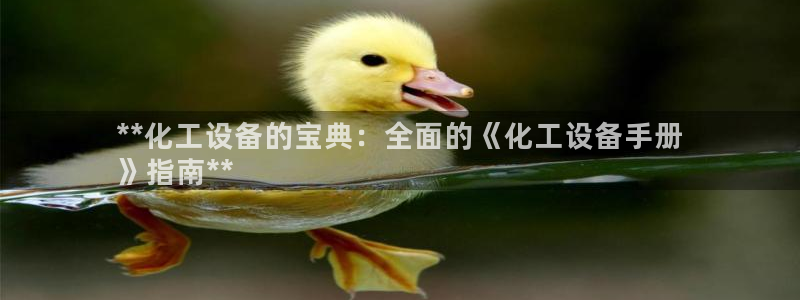 新城平台登录入口官网查询系统