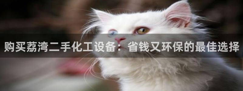 新城平台代理