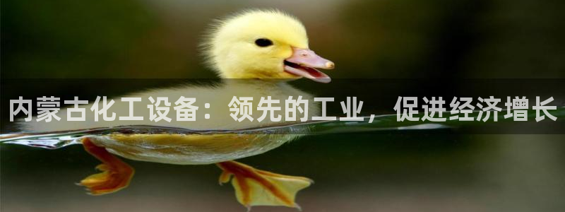 新城平台负责人