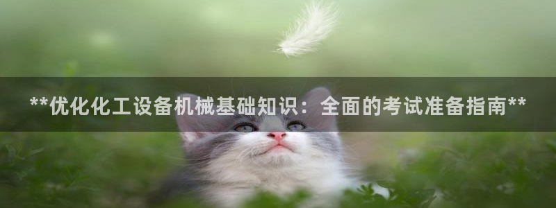 新城平台注册公司流程