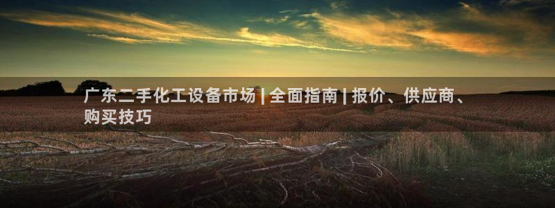新城平台注册登录地址在哪