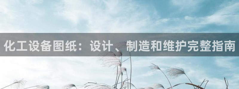 新城平台负责人是谁