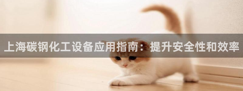 新城平台登录入口官网