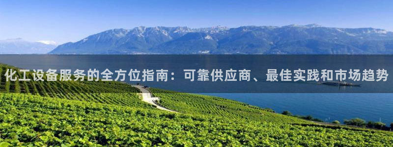 新城平台线路登录