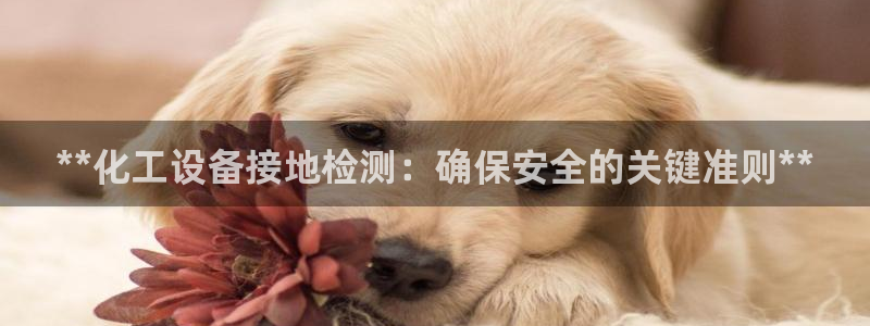 新城平台登录入口官网查询