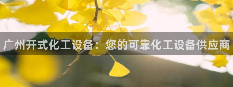 新城平台总代理是谁