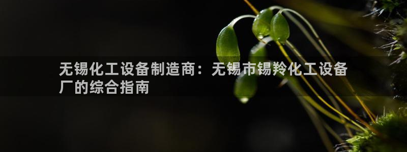 新城平台注册公司流程