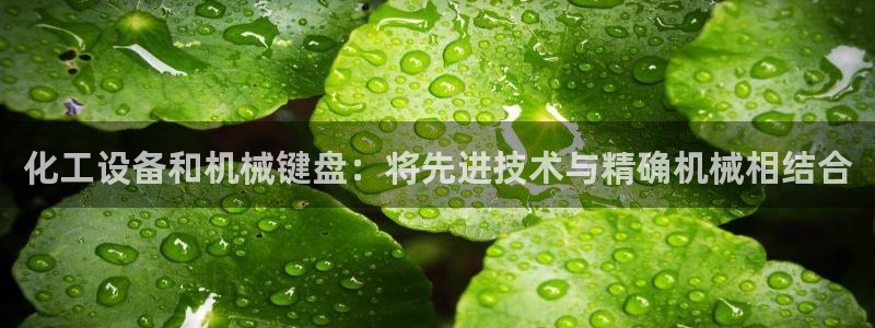 新城平台是干嘛的公司啊