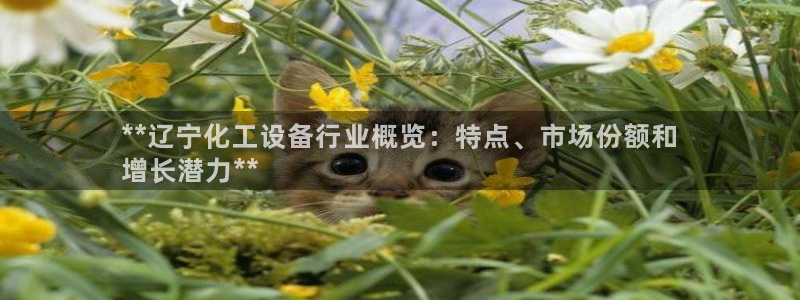 新城平台官网