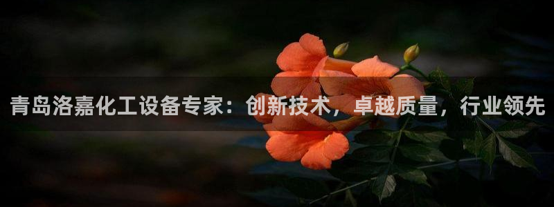 新城平台企业信息查询
