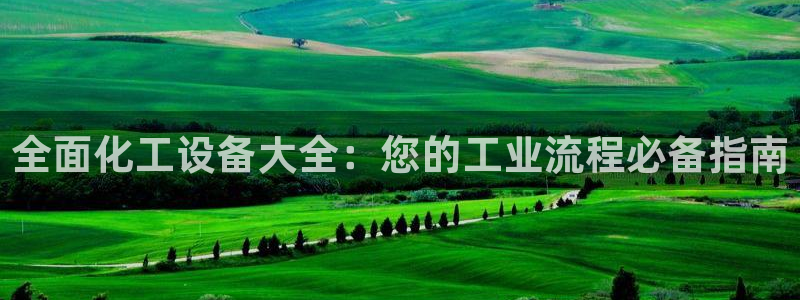 新城平台总代理是谁