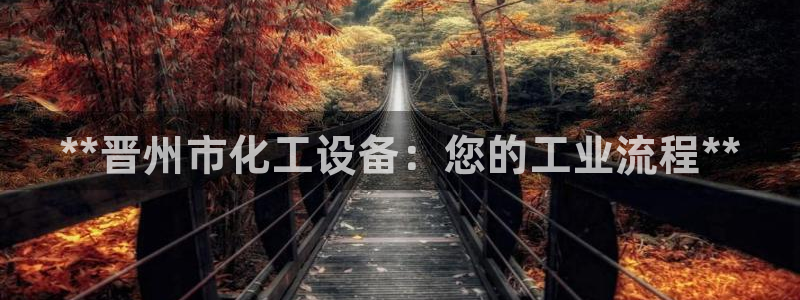 新城平台负责人