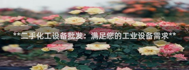 新城平台登录入口官网下载app