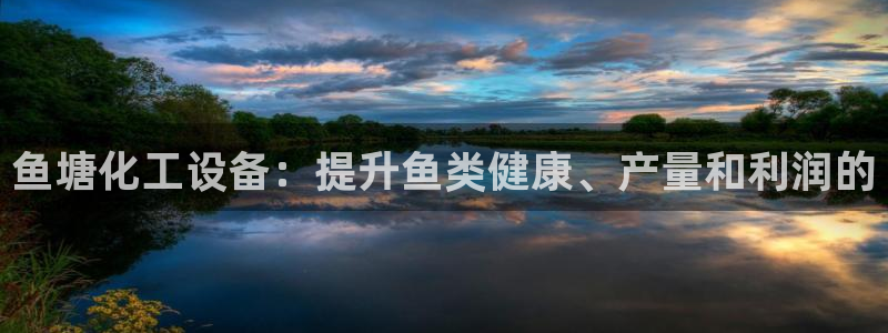 新城平台登录入口官网