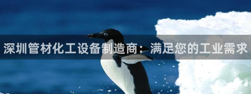 新城平台负责人