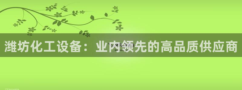 新城平台注册公司流程视频