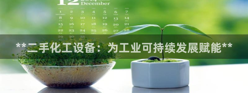 新城平台登录入口网站