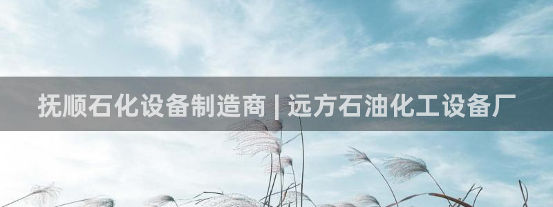 新城平台是干嘛的