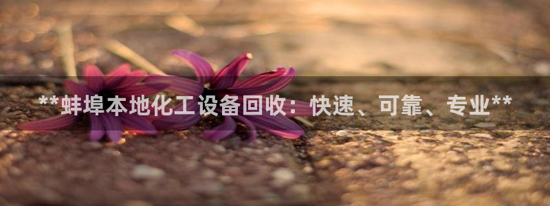 新城平台代理怎么样
