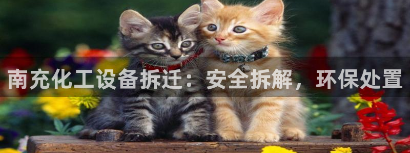 新城平台登录入口官网下载app