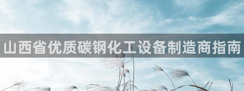 新城平台登录入口官网查询信息