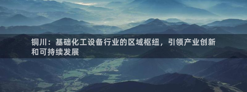 新城平台登录入口网站