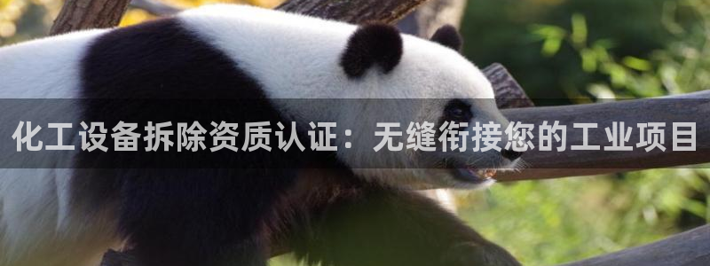 新城平台官网注册