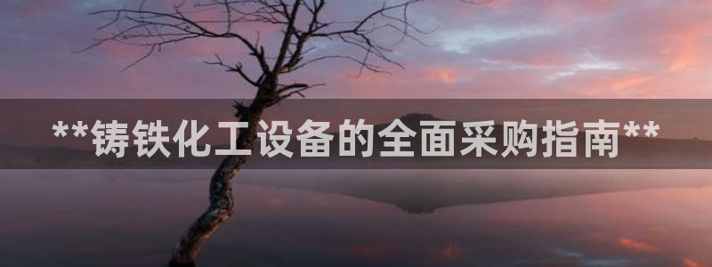 新城平台负责人