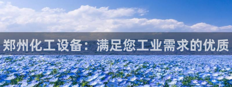 新城平台