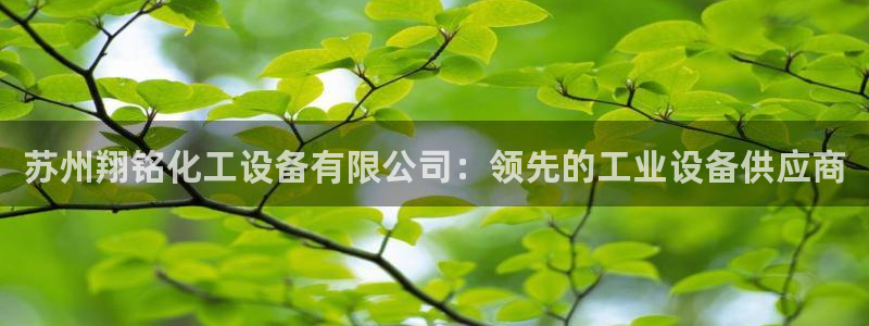 新城平台线路登录不上去了怎么回事
