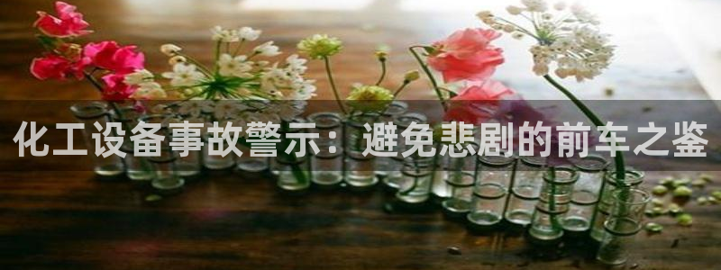 新城平台登录入口官网首页下载