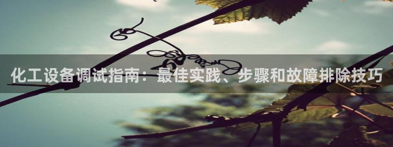 新城平台是干嘛的公司有哪些