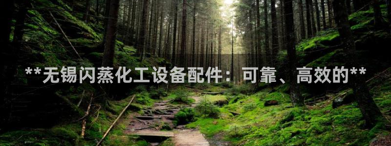 新城平台注册流程及费用