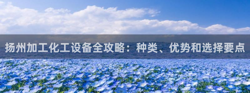 新城平台登录入口官网查询网址