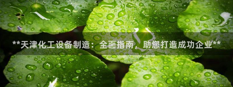 新城平台注册登录地址