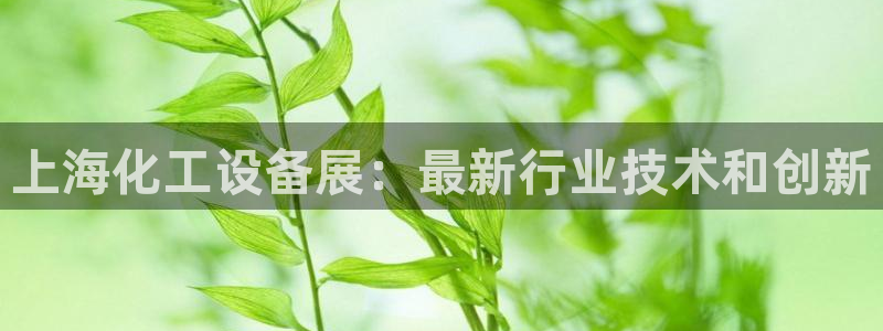 新城平台线路登录不上去怎么回事呢