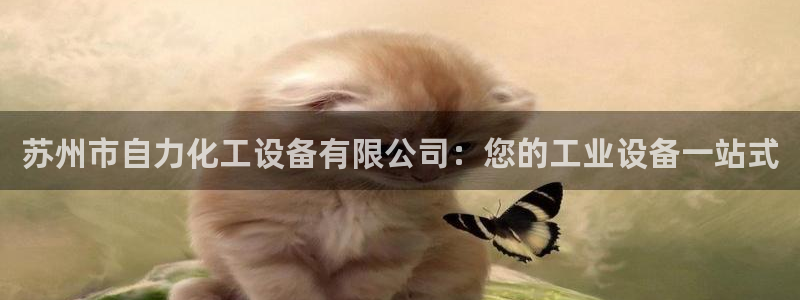 新城平台登录入口官网网址是多少