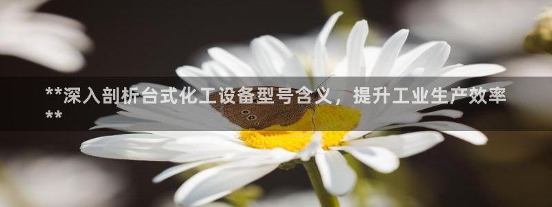 新城平台入.新城平台.全国联网是什么意思