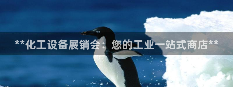 新城平台官网注册账号