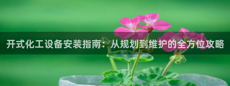新城平台代理注册公司