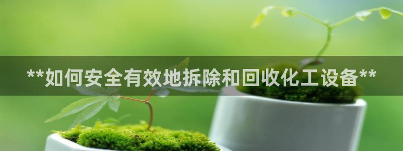 新城平台登录密码忘了怎么改