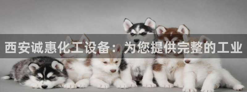 新城平台负责人名单