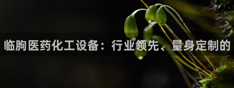 新城平台登录入口官网查询系统