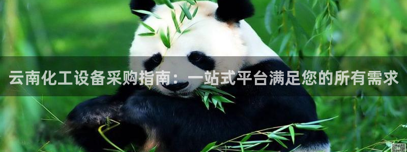 新城平台官网注册账号