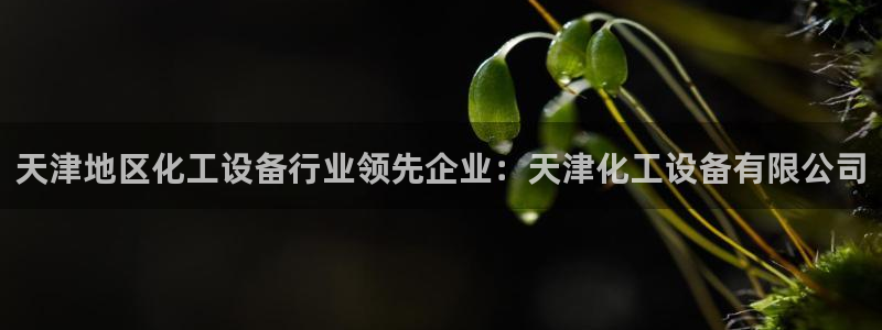 新城平台属于哪个系列