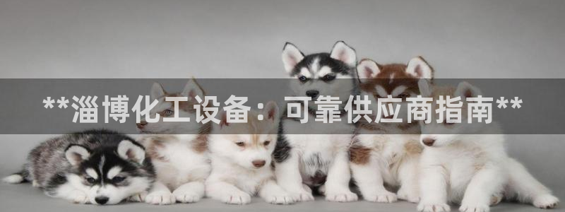 新城平台代理注册公司